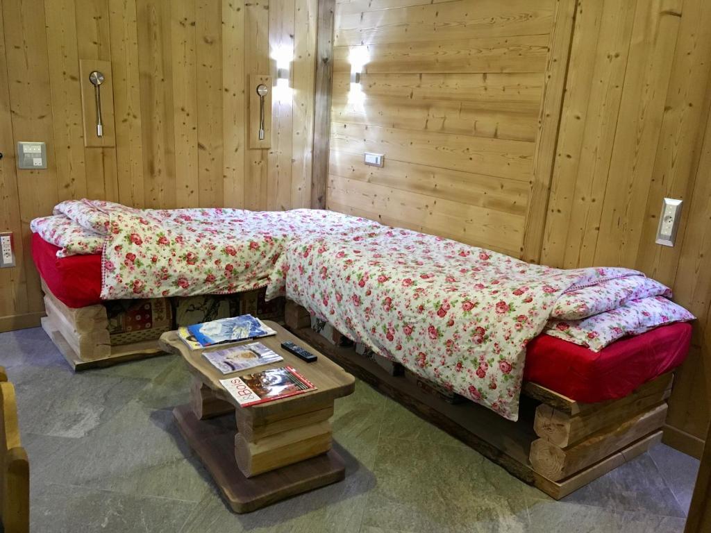 Le grenier des reves appartement pied des pistes 5