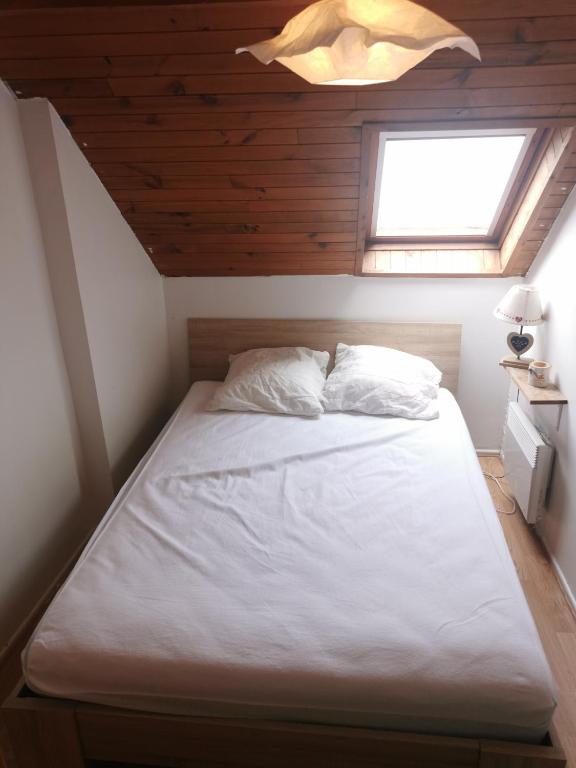 Le petit Chalet Luchonnais appartement pied des pistes 1