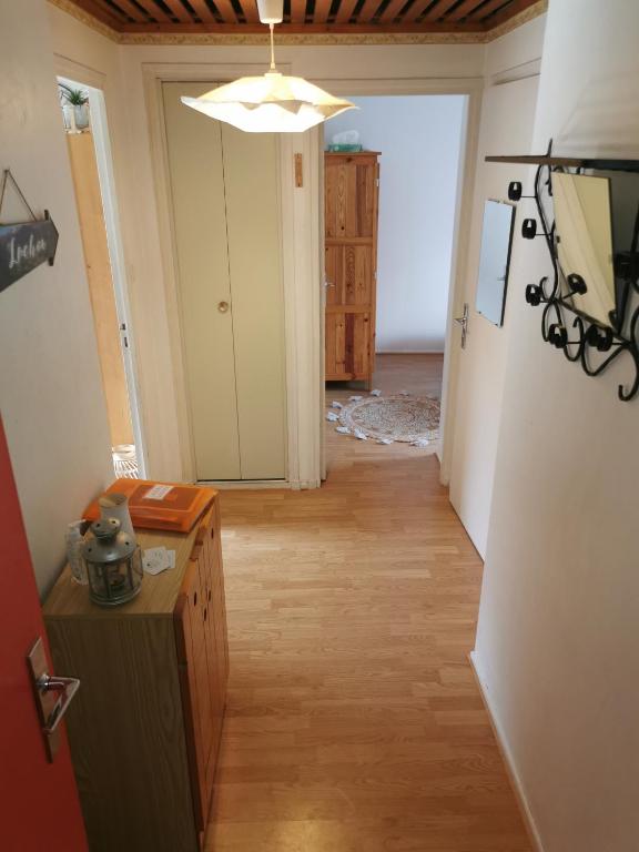 Le petit Chalet Luchonnais appartement pied des pistes 9