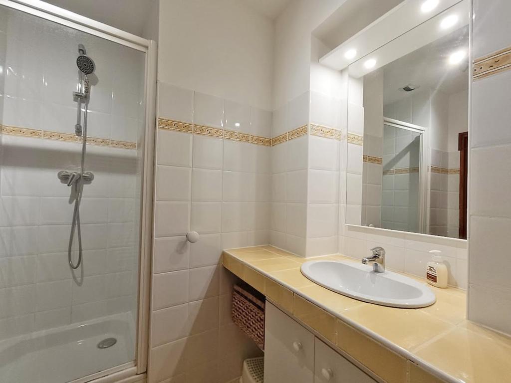Le petit cerf T3 wifi cave appartement pied des pistes 7