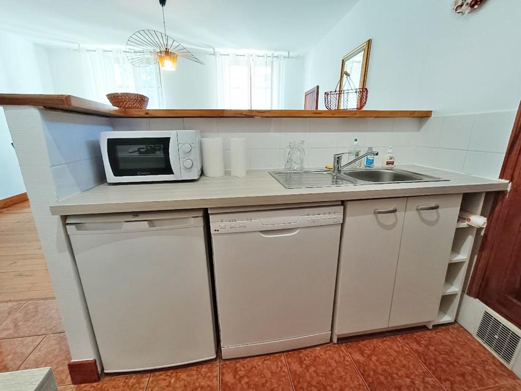 Le petit cerf T3 wifi cave appartement pied des pistes 8