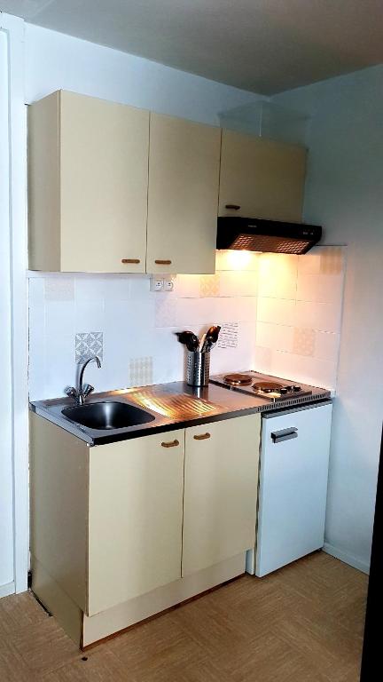 Le ptit Cozy appartement pied des pistes 12