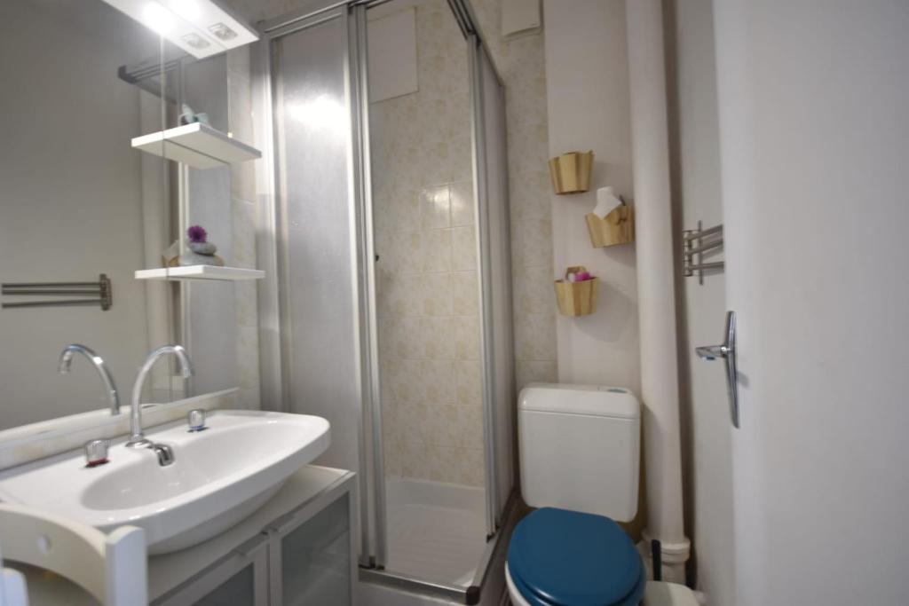 Le ptit Cozy appartement pied des pistes 2