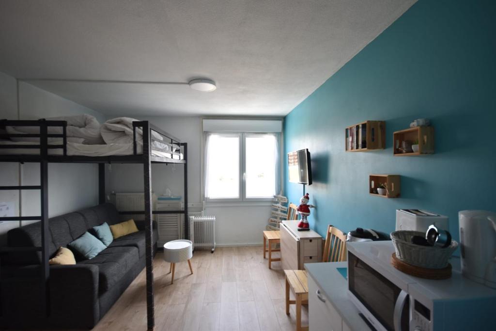 Le ptit Cozy appartement pied des pistes 3