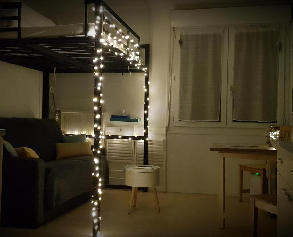 Le ptit Cozy appartement pied des pistes 6