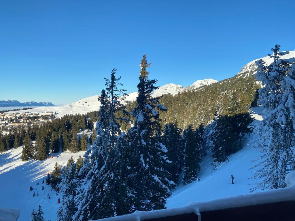 Les Balcons dEdelweiss appartement pied des pistes 17