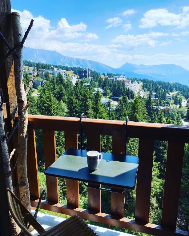 Les Balcons dEdelweiss appartement pied des pistes 5