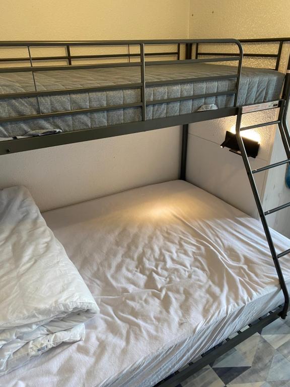 Les Balcons dEdelweiss appartement pied des pistes 8
