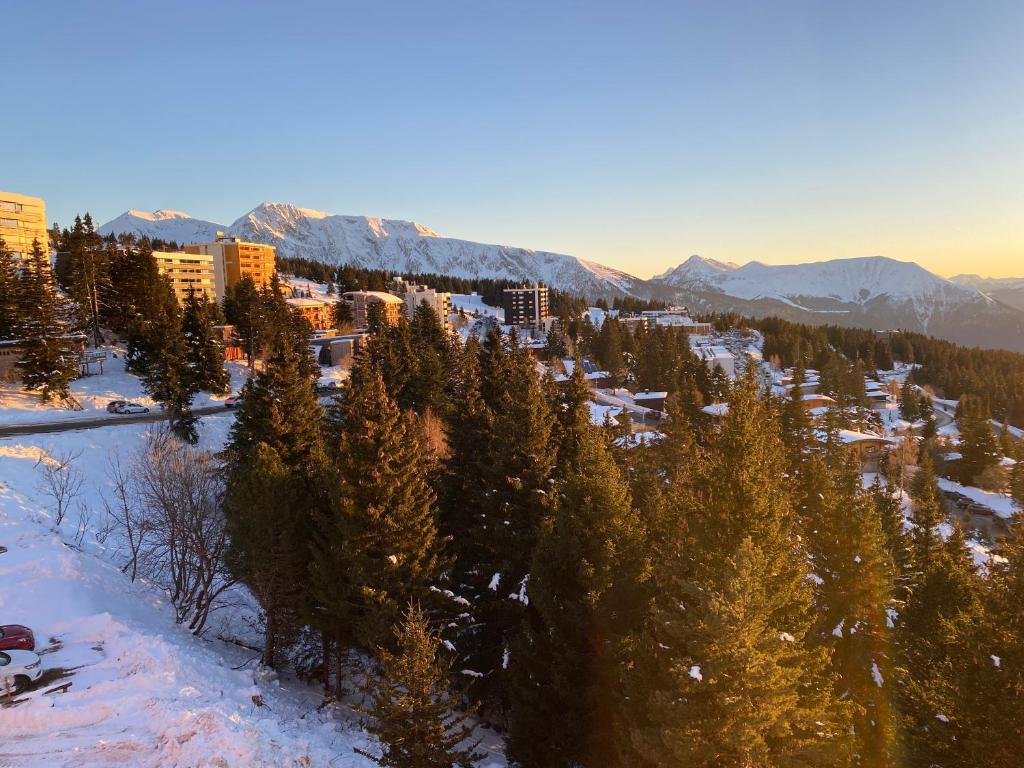 Les Balcons dEdelweiss appartement pied des pistes