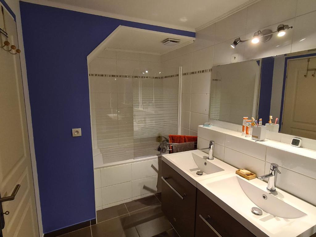 Les Balcons de lEterlou appartement pied des pistes 6