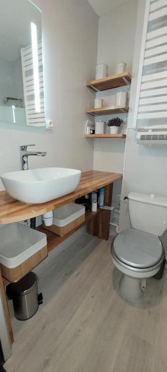 Les Bottieres 73300 T3 50m2 4 a 6 pers appartement pied des pistes 6