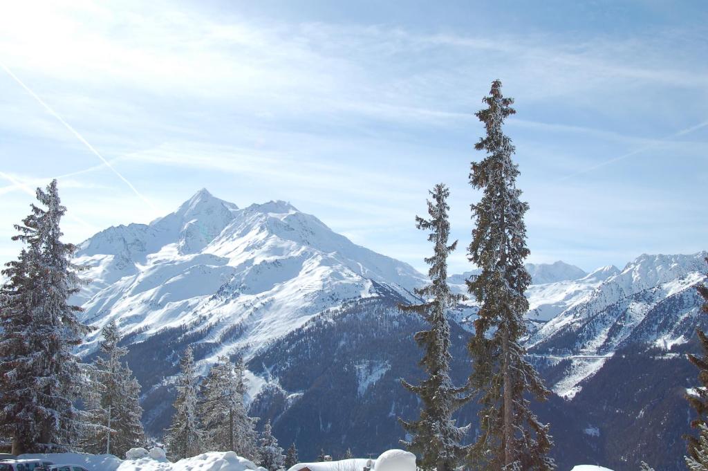 Les Bouquetins A appartement pied des pistes