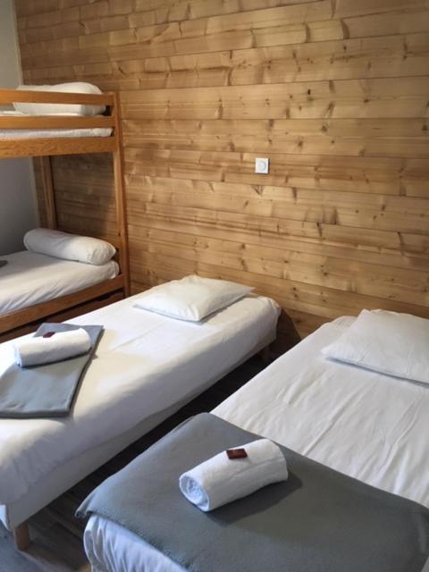 Les Carlines hotel pied des pistes 10