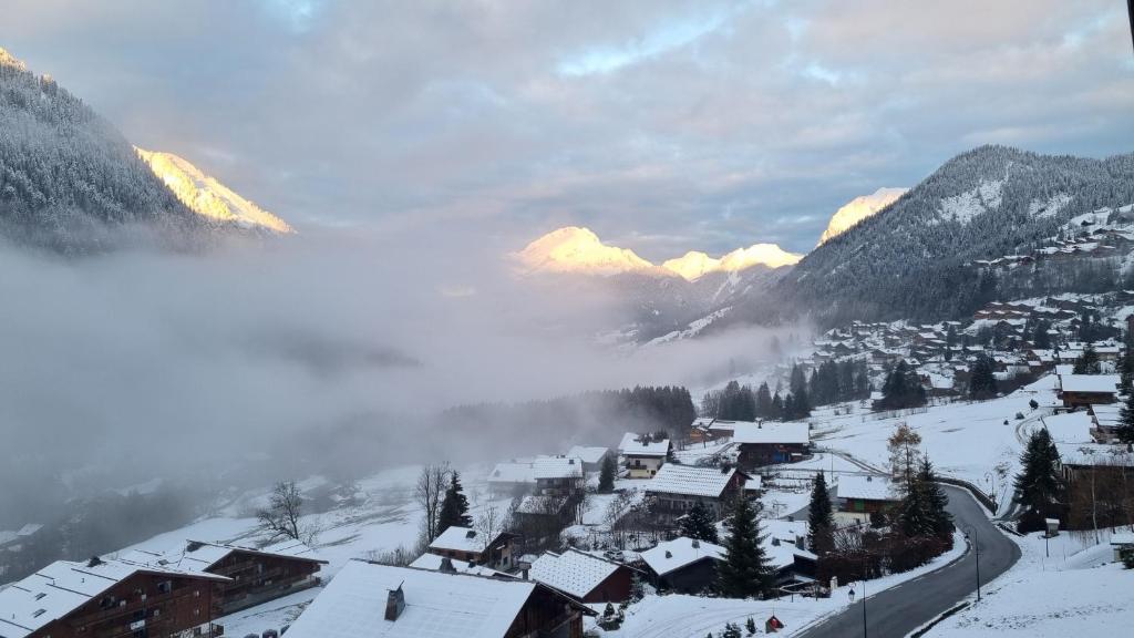 Les Chalets du Petit Chatel appartement pied des pistes 16