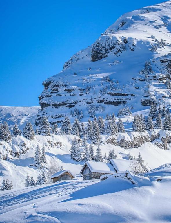 Les Chalets du Petit Chatel appartement pied des pistes 17