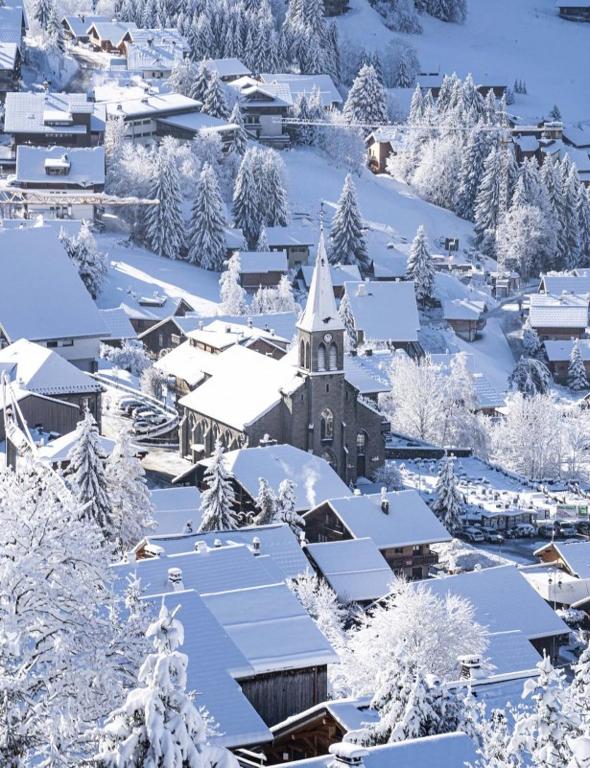 Les Chalets du Petit Chatel appartement pied des pistes 18