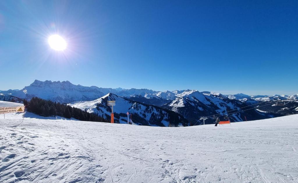 Les Chalets du Petit Chatel appartement pied des pistes 19
