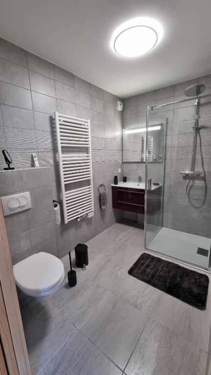 Les Chalets du Petit Chatel appartement pied des pistes 2