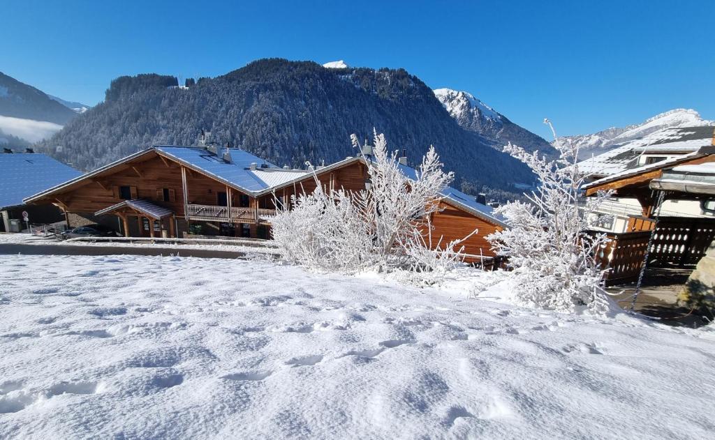 Les Chalets du Petit Chatel appartement pied des pistes 5