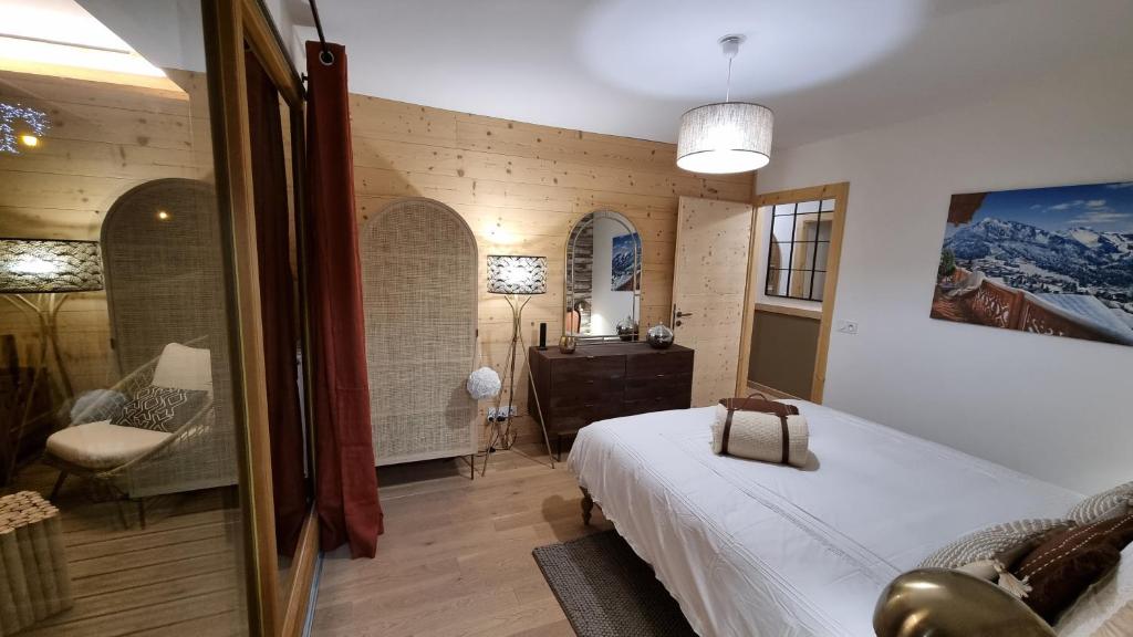 Les Chalets du Petit Chatel appartement pied des pistes 6
