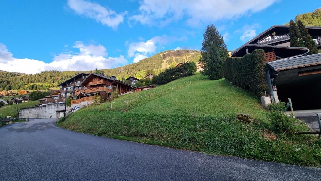 Les Chalets du Petit Chatel appartement pied des pistes 8
