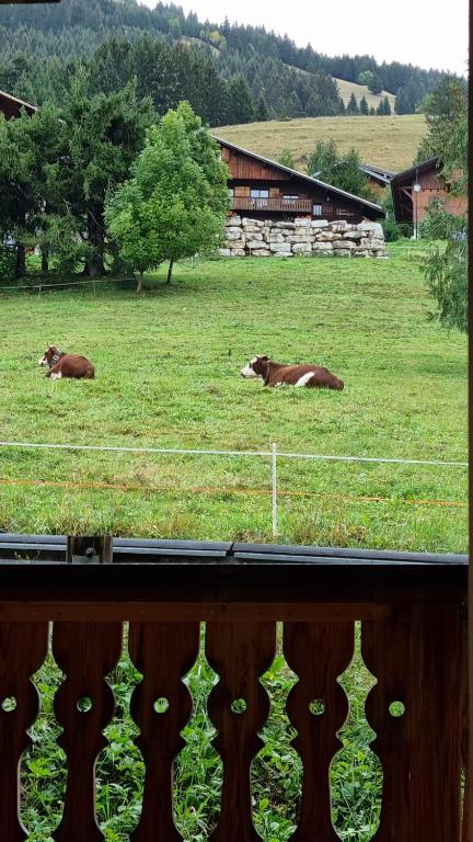 Les Chalets du Petit Chatel appartement pied des pistes 9
