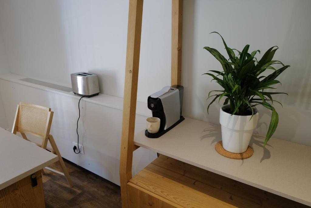Les Gites dAillon et dAilleurs appartement pied des pistes 4