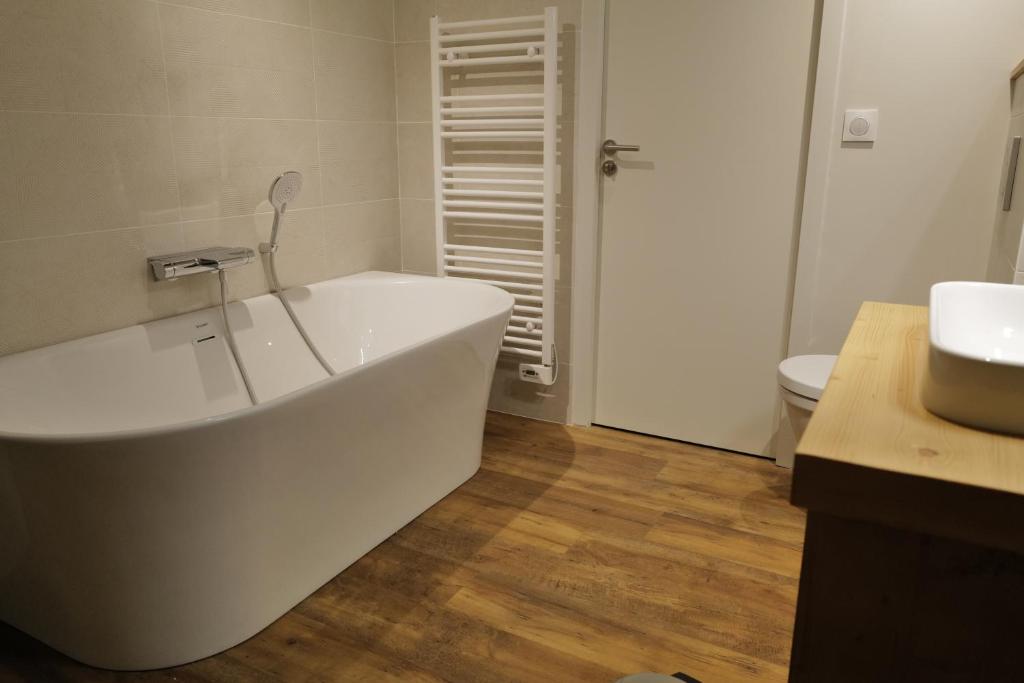 Les Gites dAillon et dAilleurs appartement pied des pistes 7