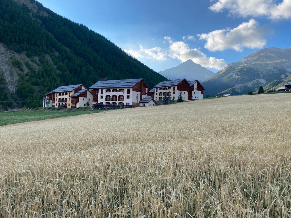 Les Granges dArvieux Queyras Appart 3ch.6p. appartement pied des pistes 1