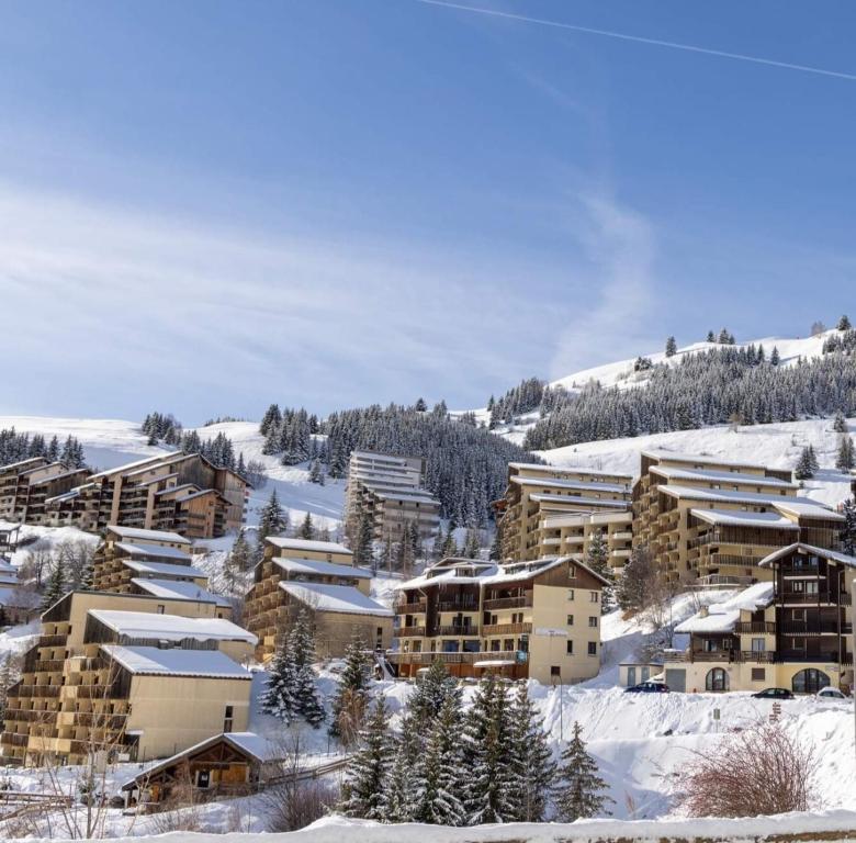 Les Iris T2 station Alpe Huez appartement pied des pistes 14
