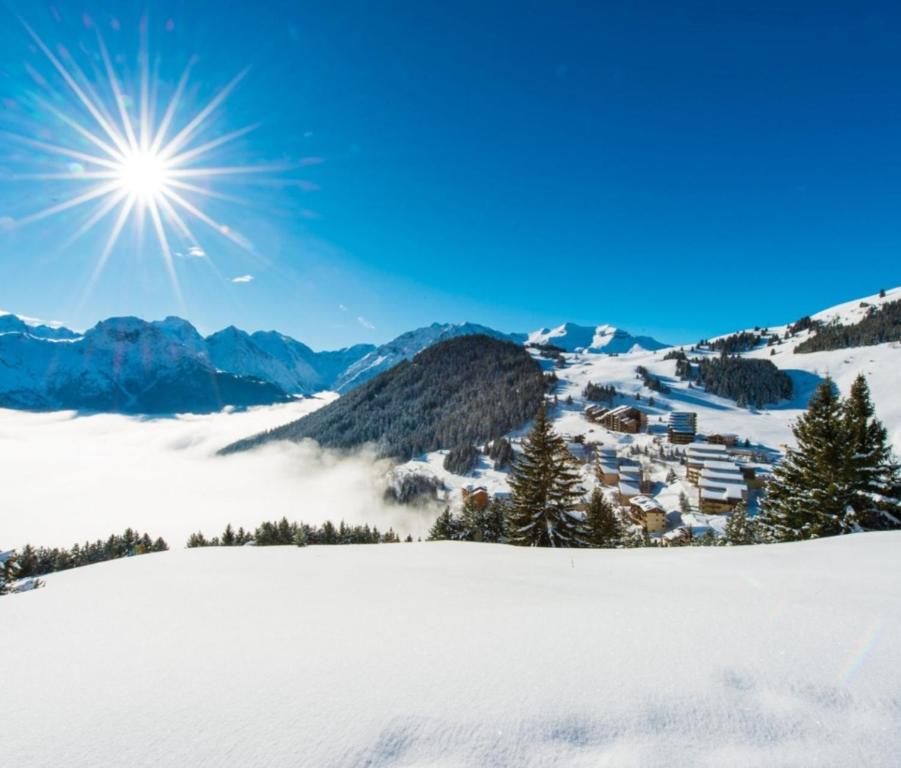 Les Iris T2 station Alpe Huez appartement pied des pistes 18