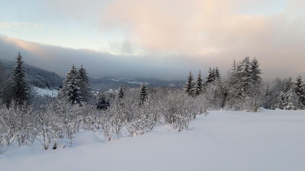 Les Jonquilles gite 810 pers. avec vue imprenable appartement pied des pistes 12