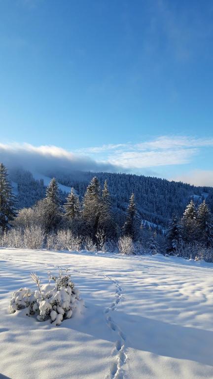 Les Jonquilles gite 810 pers. avec vue imprenable appartement pied des pistes 13