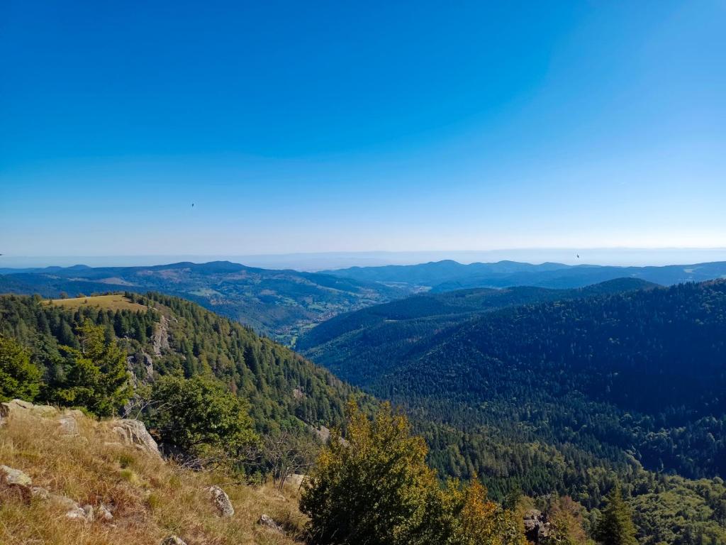 Les Jonquilles gite 810 pers. avec vue imprenable appartement pied des pistes 17