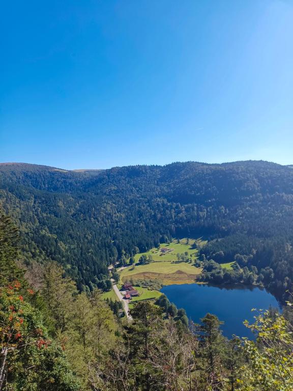 Les Jonquilles gite 810 pers. avec vue imprenable appartement pied des pistes 18