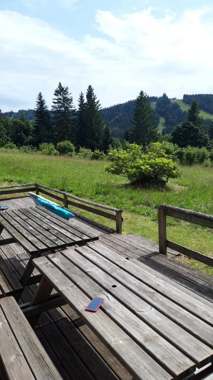 Les Jonquilles gite 810 pers. avec vue imprenable appartement pied des pistes 19