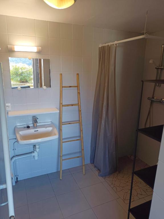 Les Jonquilles gite 810 pers. avec vue imprenable appartement pied des pistes 2