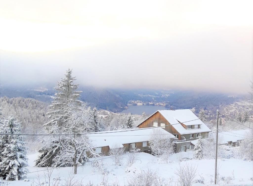 Les Jonquilles gite 810 pers. avec vue imprenable appartement pied des pistes 8