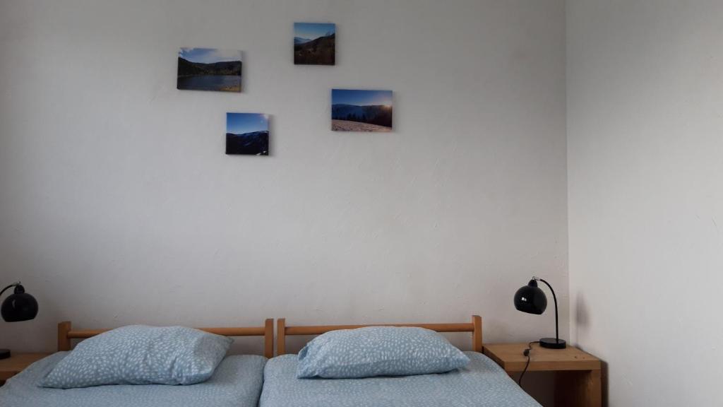 Les Jonquilles gite 810 pers. avec vue imprenable appartement pied des pistes 9
