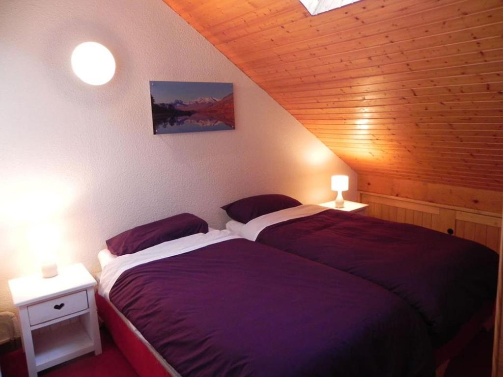 Les Myrtilles appartement pied des pistes 1