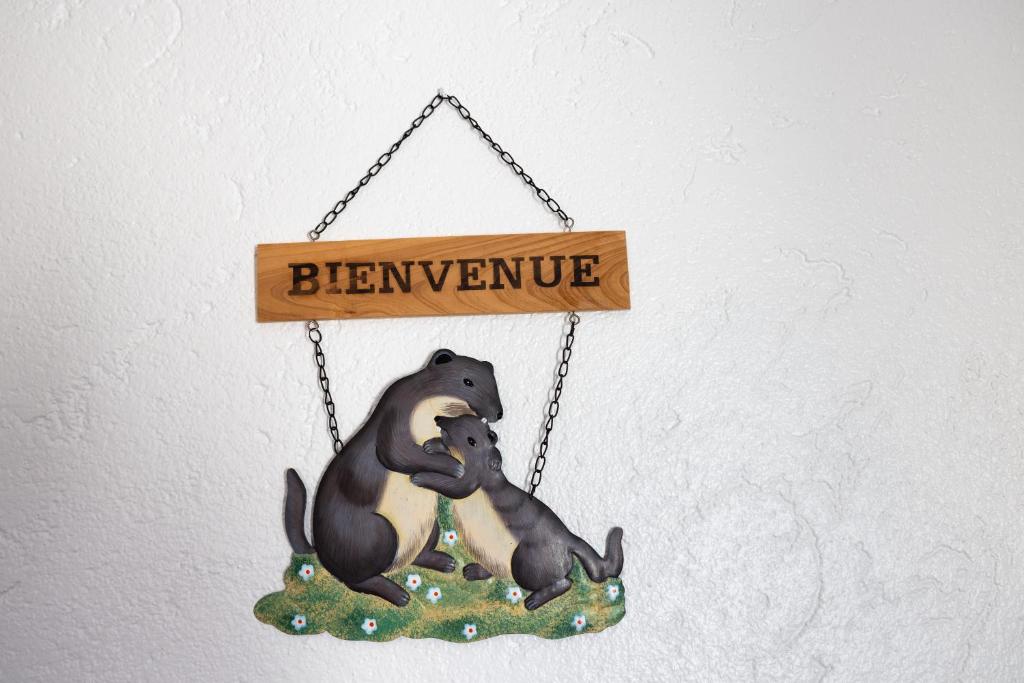 Les Rocailles appartement pied des pistes 17