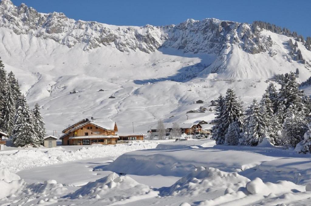 Les Roches 1500 hotel pied des pistes