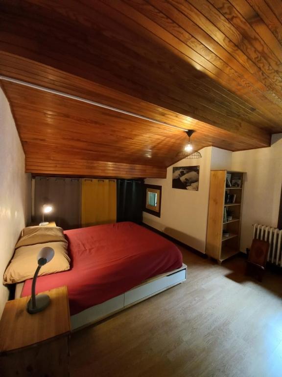 Logement mansarde dans maison avec jardin en bord de piste vue montagne appartement pied des pistes 1