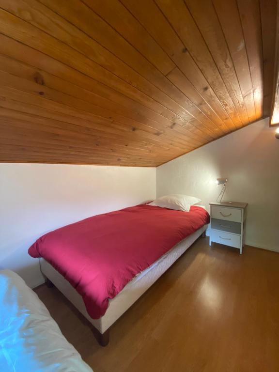 Logement mansarde dans maison avec jardin en bord de piste vue montagne appartement pied des pistes 10