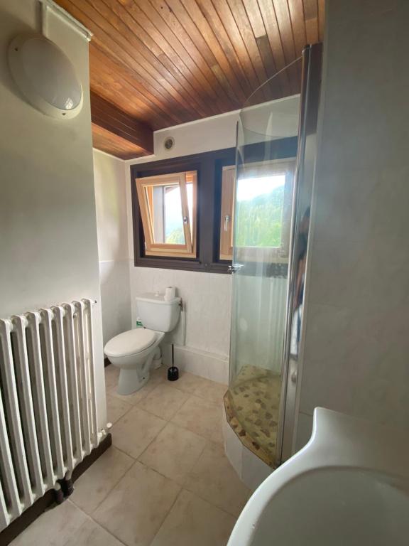 Logement mansarde dans maison avec jardin en bord de piste vue montagne appartement pied des pistes 12