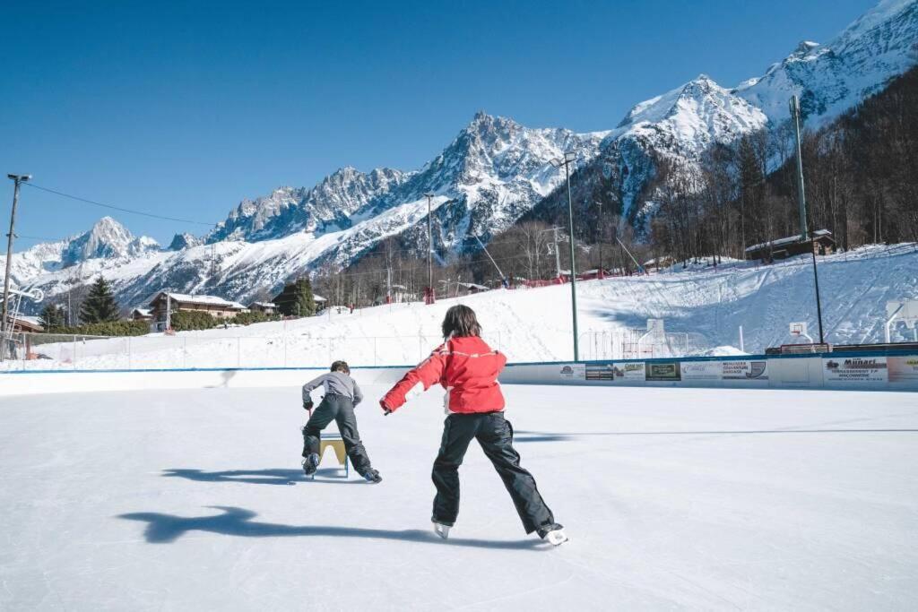 Logement mansarde dans maison avec jardin en bord de piste vue montagne appartement pied des pistes 15