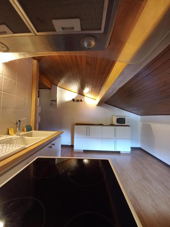 Logement mansarde dans maison avec jardin en bord de piste vue montagne appartement pied des pistes 2