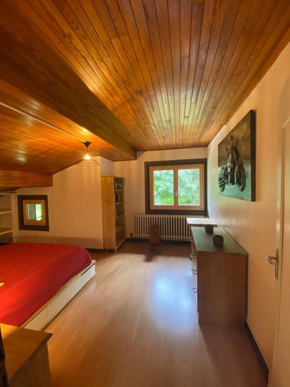 Logement mansarde dans maison avec jardin en bord de piste vue montagne appartement pied des pistes 5