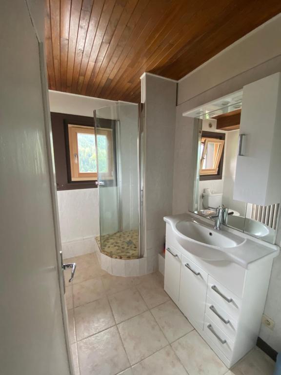 Logement mansarde dans maison avec jardin en bord de piste vue montagne appartement pied des pistes 6
