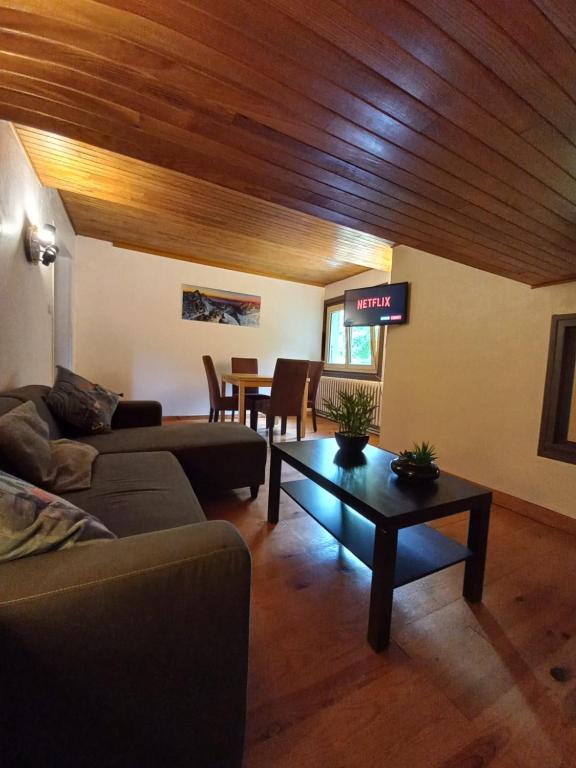 Logement mansarde dans maison avec jardin en bord de piste vue montagne appartement pied des pistes 7